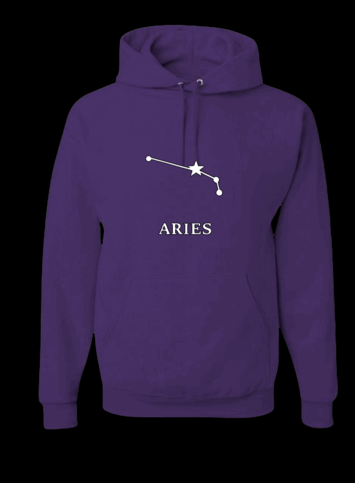 Astrology Hoodie