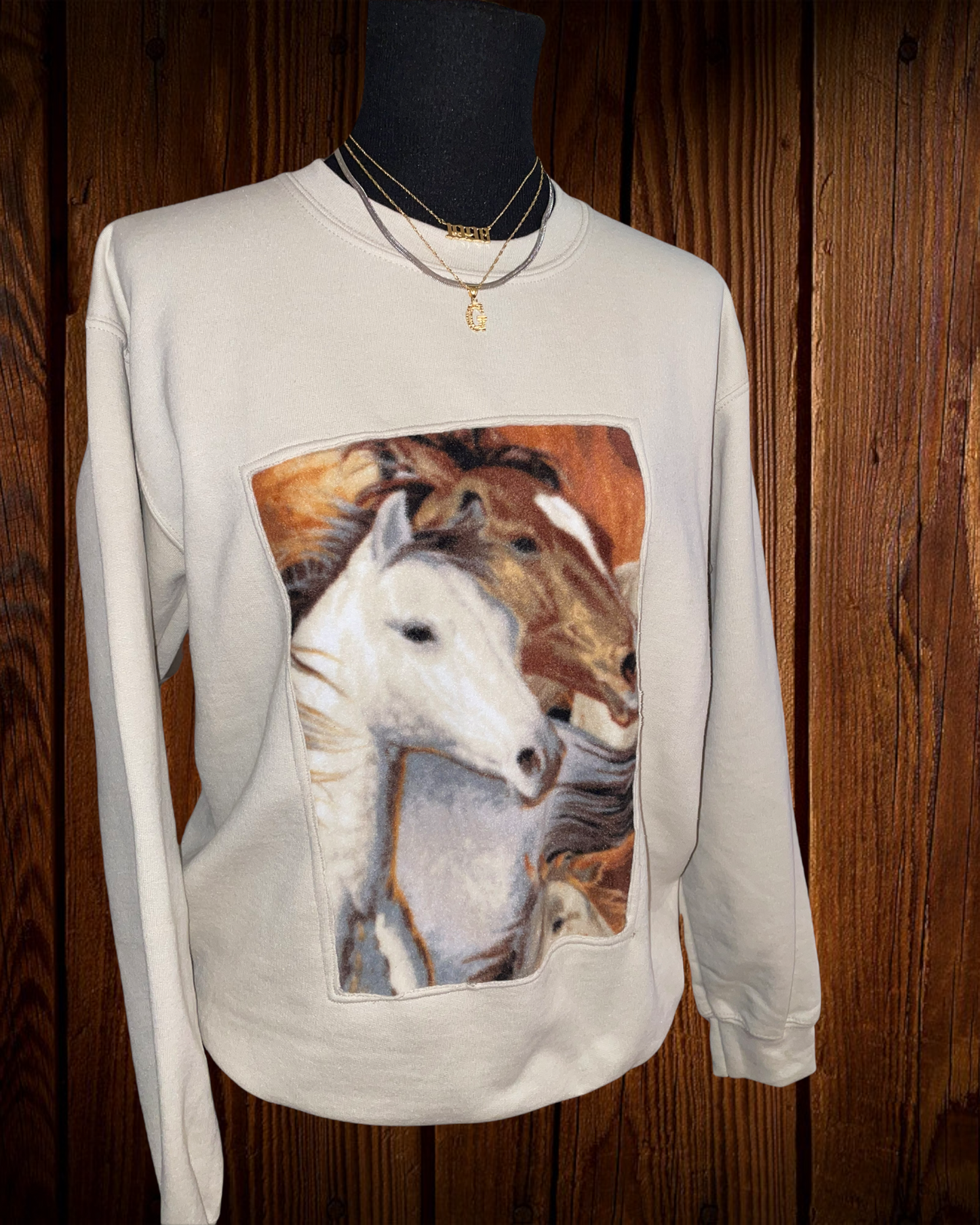 Asymmetrical Framed Horse Crewneck