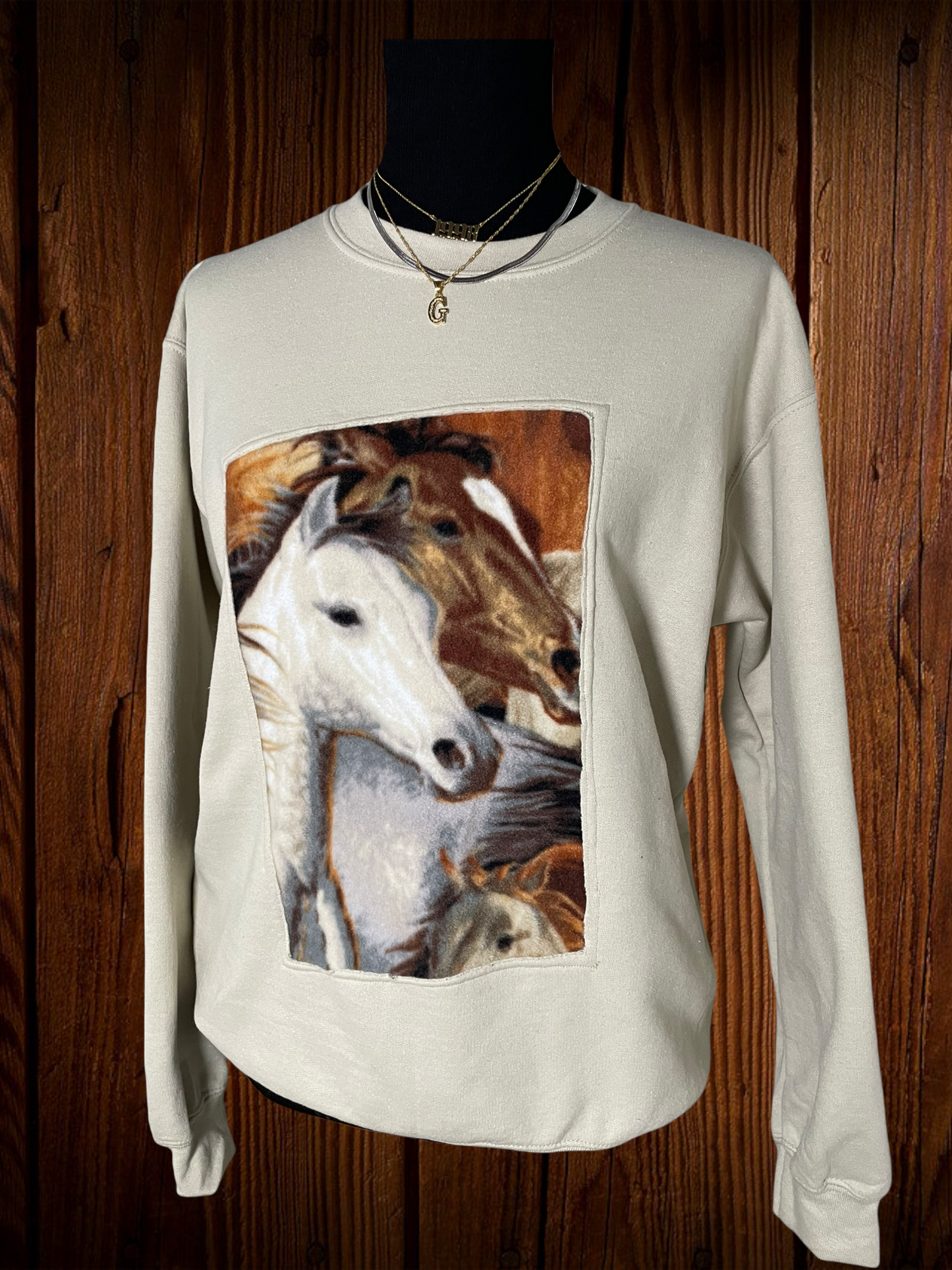 Asymmetrical Framed Horse Crewneck