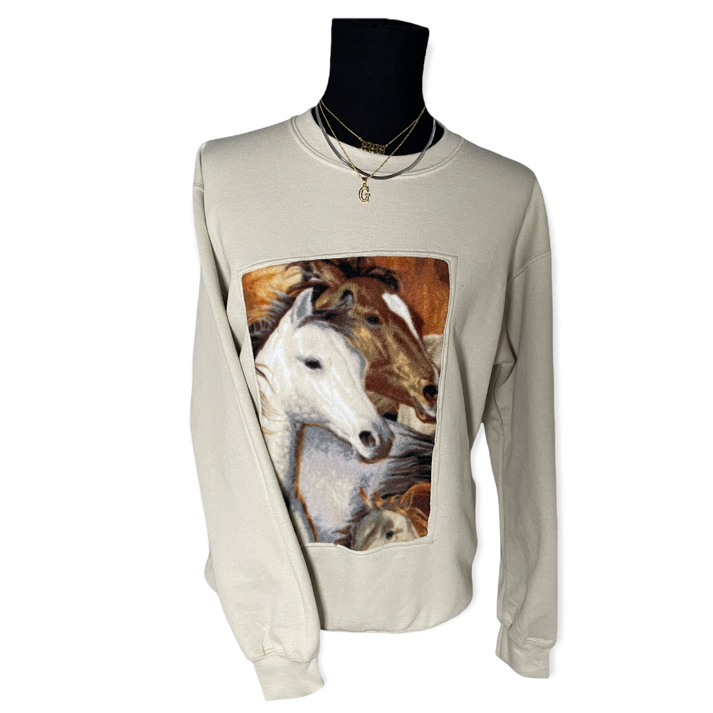 Asymmetrical Framed Horse Crewneck